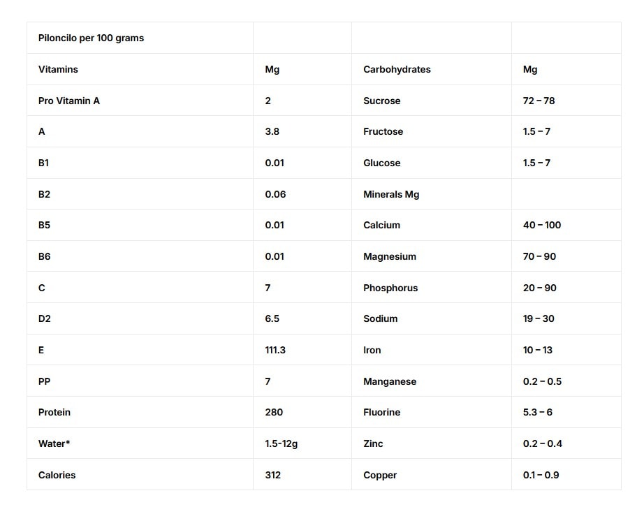 Piloncillo nutritional data per 100 grams